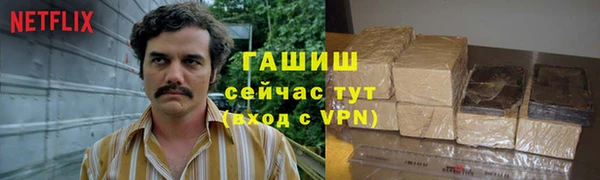 индика Бронницы